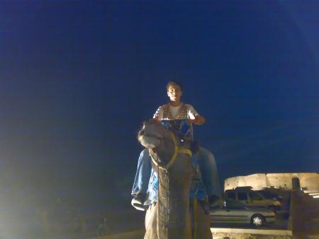 ☺☻♥♦♣♠�◘○♀♪↨-